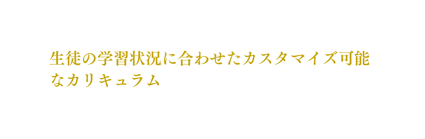 生徒の学習状況に合わせたカスタマイズ可能なカリキュラム