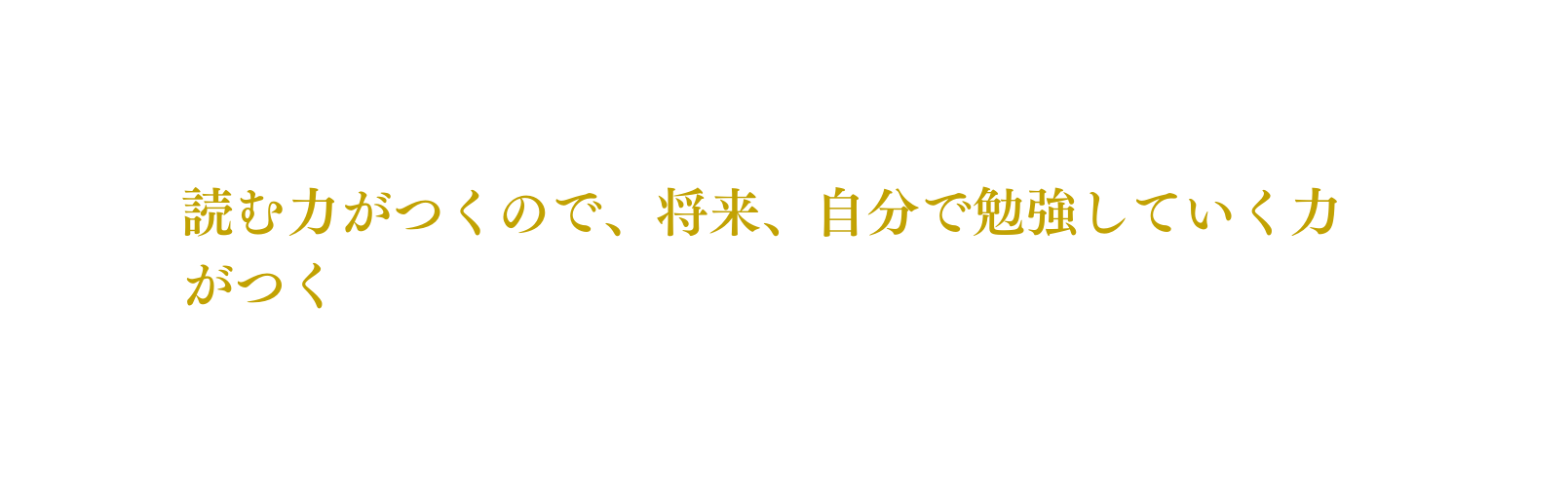 読む力がつくので 将来 自分で勉強していく力がつく